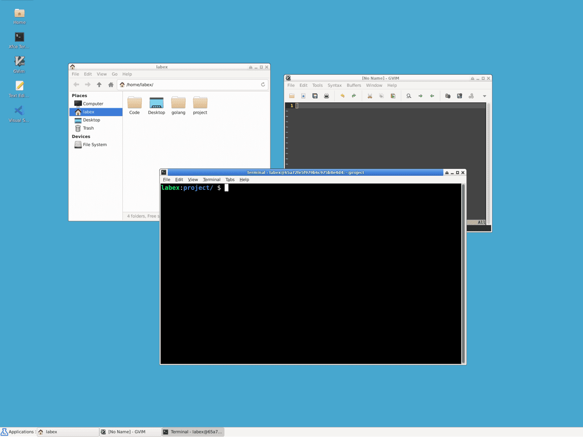 vlabs feature