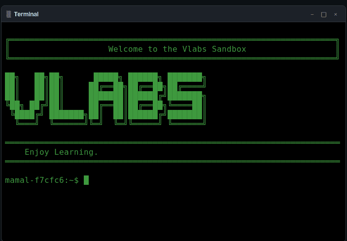 vlabs interactive lab environment